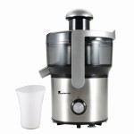 Odšťavňovač FOODIES 350W stříbrný