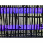 Lapač hmyzu LED 2 x 1W 230V