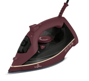 Napařovací žehlička na prádlo 2200 W Leonardo Collection